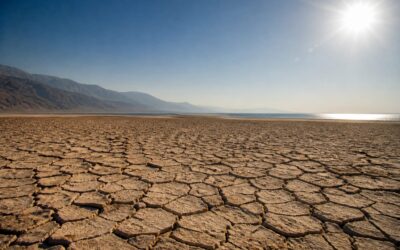 România se pregătește pentru un nou val de caniculă cu maxime de 38 de grade Celsius în vestul țării