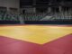 Uta și Hifumi Abe au câștigat ambele finale disputate la Mondialele de judo de la Baku